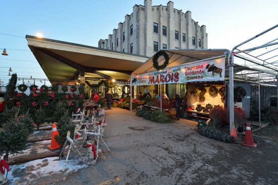 Montreal, Atwater Market and Canal Lachine, Dec 15, 2012 - 42 
