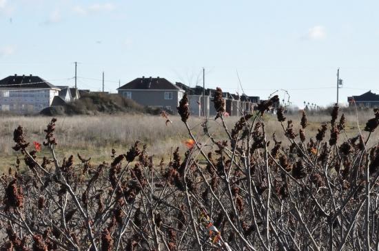 Каркасное строительство - 5