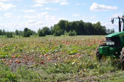 Купить землю - 5