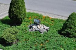 Клумба 20100711-2